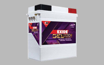 Automobile Battery